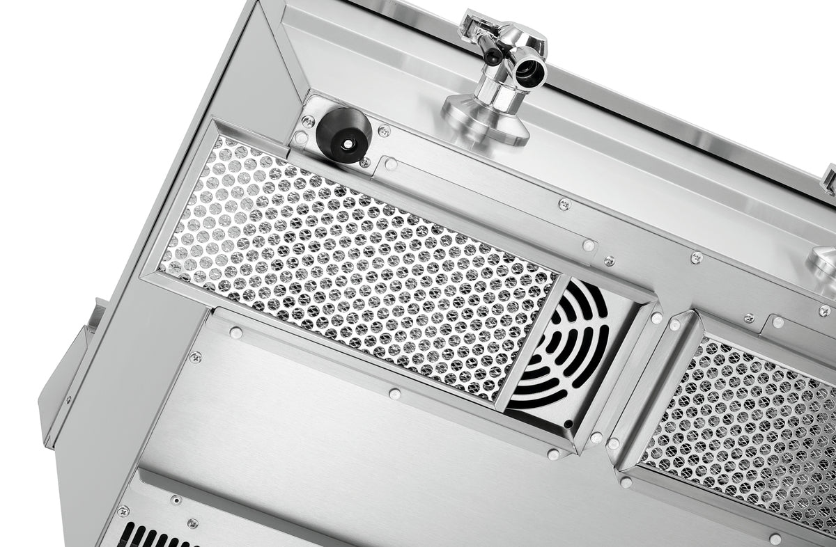 Friggitrice a induzione Professionale 2x8L Plus