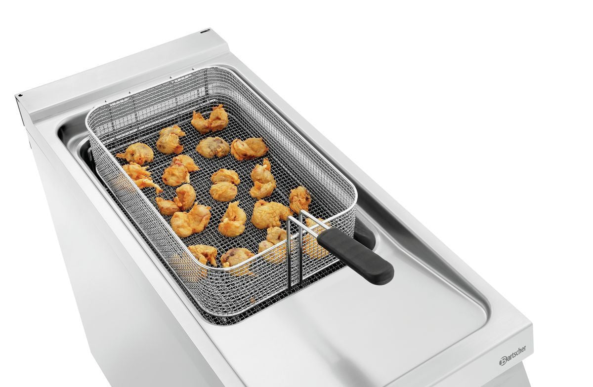 Friggitrice Elettrica Professionale in piedi