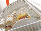Mini vetrina refrigerata 86L
