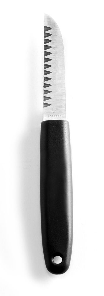 Coltello per decorazioni, HENDI, (L)200mm