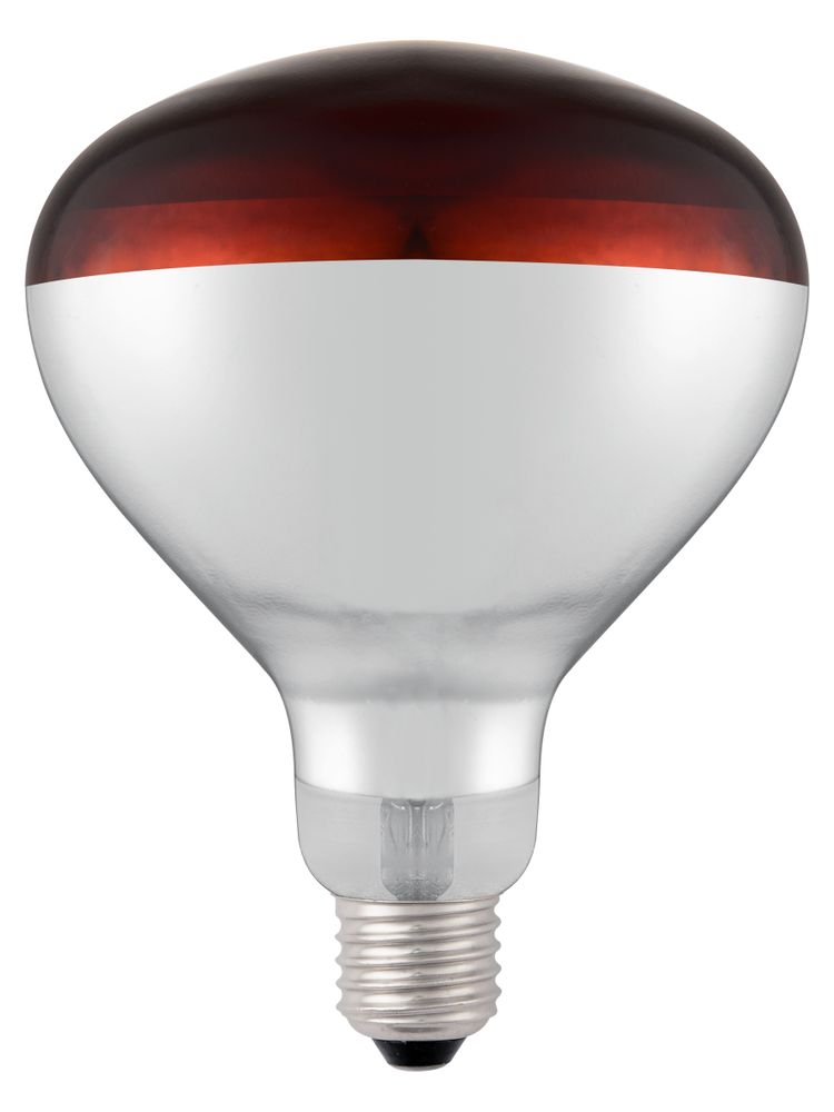 Bulbo a infrarossi, HENDI, Rosso, 230V/250W, ⌀125x(H)170mm