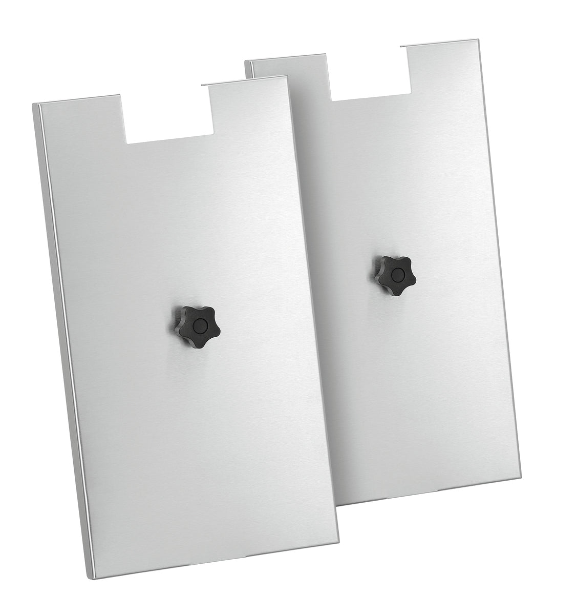 Friggitrice  Elettrica Professionale SNACK II Plus